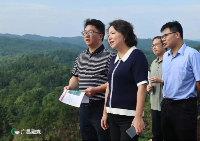 余娜调研重点项目建设工作